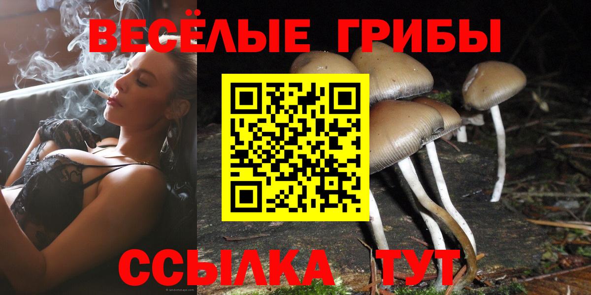 Фрязино  как найти закладки  Вход с VPN  Галлюциногенные грибы GOLDEN TEACHER 